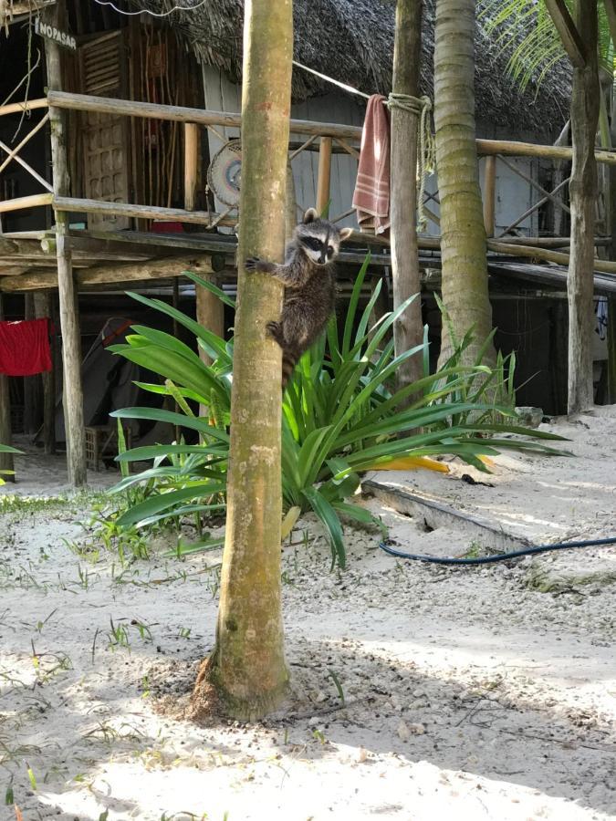Chavez Eco Beach Camping And Cabanas Tulum Exterior foto